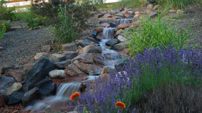 Drought Tolerant Landscaping Or Xeriscaping