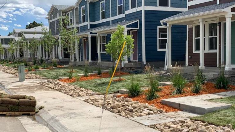 landscaping in Littleton, CO