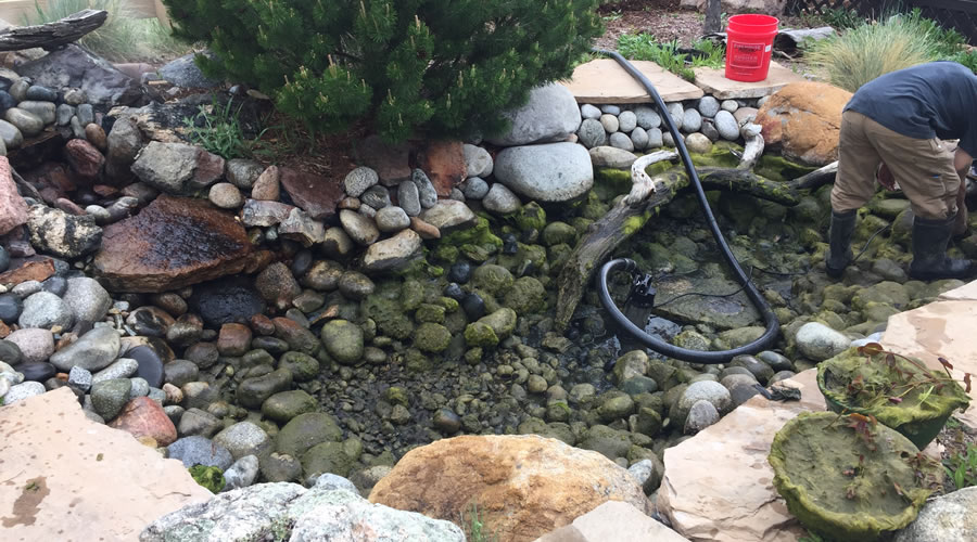 Pond Repair Service Littleton and Denver Colorado